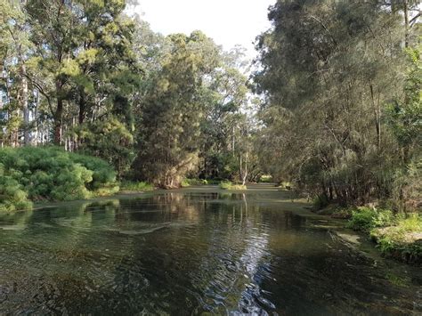 cherrybrook weather|Cherrybrook, New South Wales, Australia Current Weather